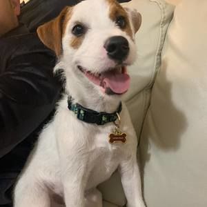 Meet your Posher, Bryan